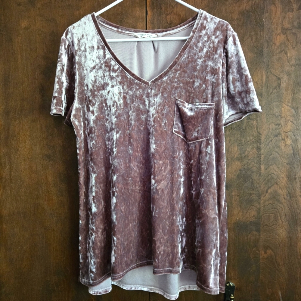 Spring + Mercer Velvet V-Neck Tee, L